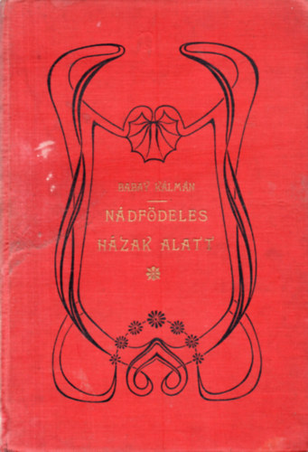 Babay K�lm�n - N�df�deles h�zak alatt - Falusi t�rt�netek a n�p sz�m�ra