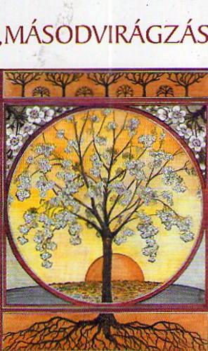 Bog�thy Andr�s - "M�sodvir�gz�s"