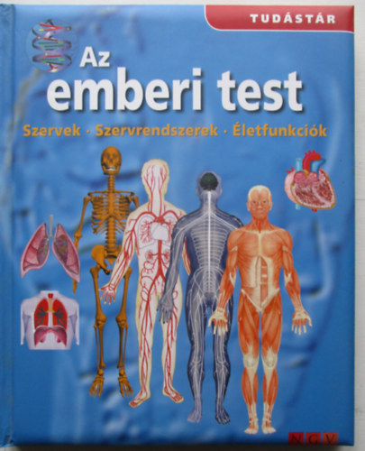 Az emberi test - Szervek - Szervrendszerek - letfunkcik