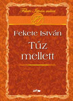 Fekete Istvn - Tz mellett