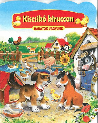 Kiscsik kiruccan