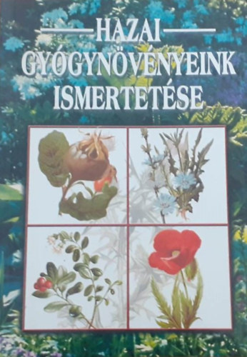 Hazai gy�gyn�v�nyeink ismertet�se
