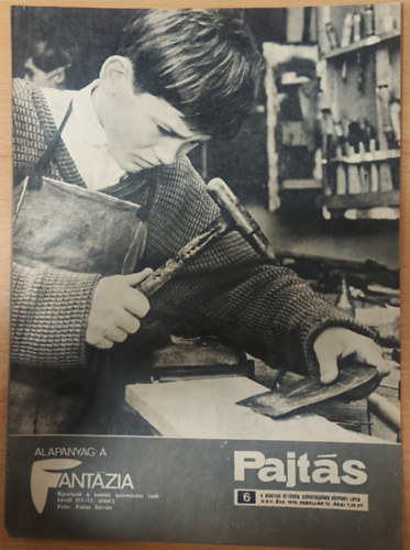 Vasv�ri Ferenc  (szerk.) - Pajt�s XXV. �vfolyam, 6. sz�m (1970)