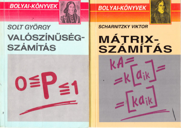 Dr. Solt Gy�rgy Scharnitzky Viktor - M�trixsz�m�t�s + Val�sz�n�s�gsz�m�t�s