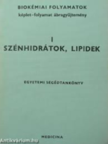 Antoni Ferenc  (szerk.) - Biokmiai folyamatok I.: Sznhidrtok, lipidek