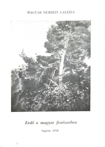 Magyar Nemzeti Galria - Erd a magyar festszetben