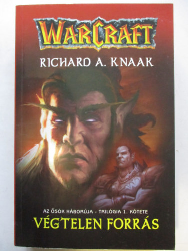 Richard A. Knaak - V�gtelen forr�s - WarCraft