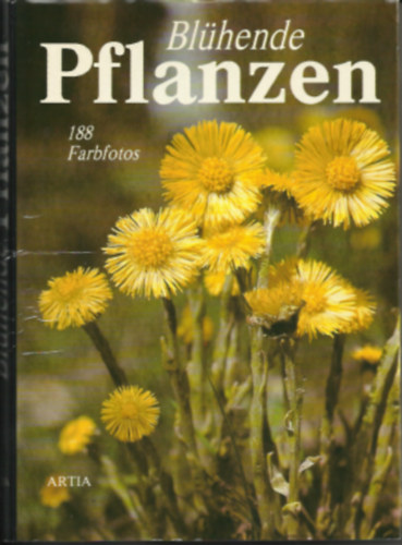 Bohdan Kr�sa - Bl�hende Pflanzen