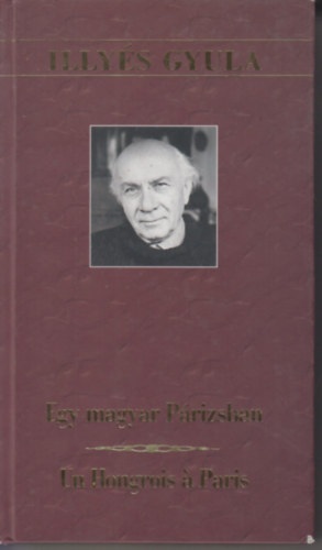 Illys Gyula - Egy magyar prizsban-Un Hongrois  Paris