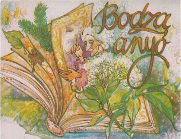 Bodza any