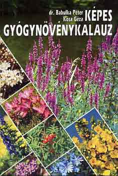 Dr. Babulka P�ter-K�sa G�za - K�pes gy�gyn�v�nykalauz