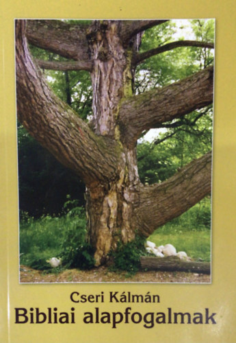 Cseri Kálmán - Bibliai alapfogalmak