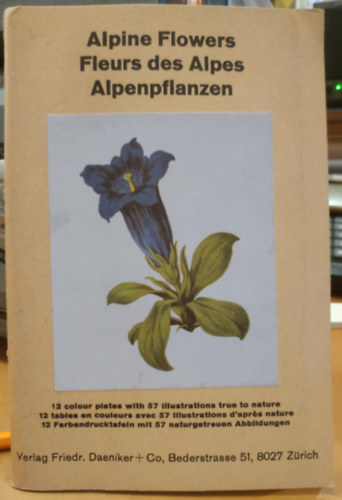 F. Daeniker - Alpine Flowers - Fleur des Alpes - Alpenpflanzen