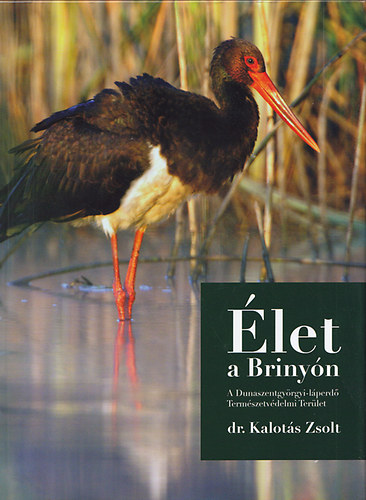 Kalots Zsolt - let a Brinyn (A Dunaszentgyrgyi-lperd Termszetvdelmi Terlet