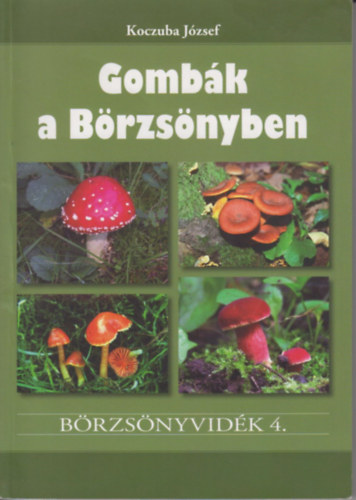 Koczuba Jzsef - Gombk a Brzsnyben