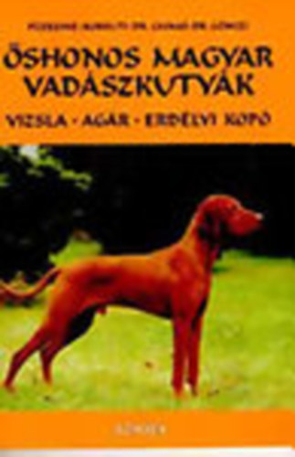 Fzesin-Borkuti-Csom-Gnczi - shonos magyar vadszkutyk - Rvid szr vizsla, drtszr vizsla, agr, erdlyi kop