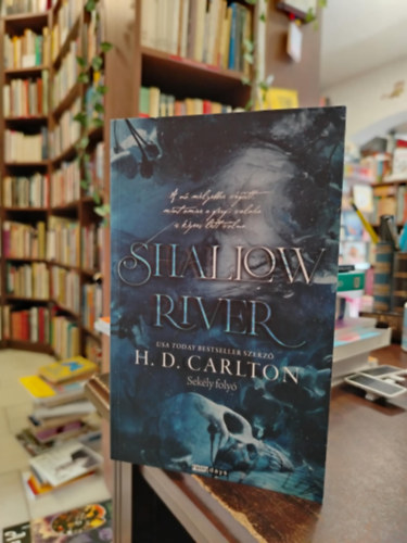H.D. Carlton - Shallow River-Sekély folyó
