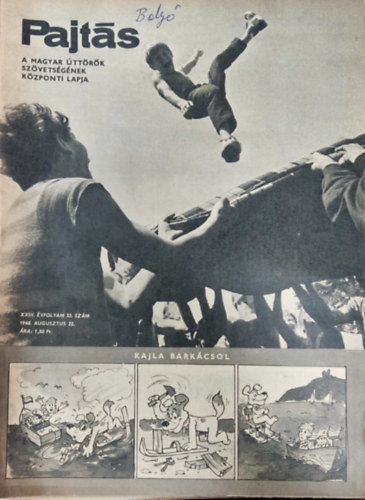 Vasv�ri Ferenc  (szerk.) - Pajt�s XXIII. �vfolyam 33. sz�m (1968)