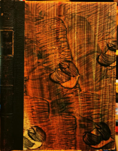 Kádár Imre - A fekete bárány II.