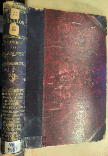 H. Baillon - Monographie des Amaryllidaces, Bromliaces et Iridaces XIII. ("Az Amaryllidaceae, Bromeliaceae s Iridaceae monogrfija" francia nyelven) (1894)