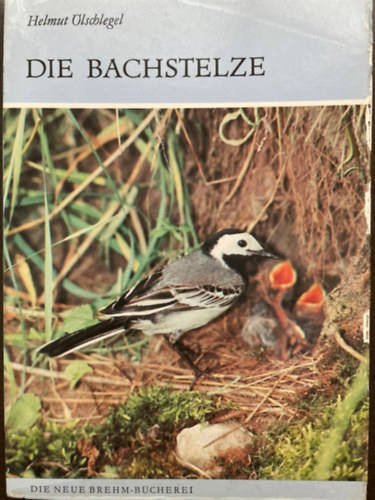 Helmut lschlegel - Die Bachstelze