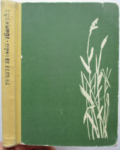 Fekete Istv�n - T�skev�r