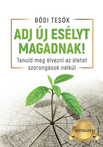 Bdi Hunor, Bdi Megyer Bdi Bence - Adj j eslyt magadnak!