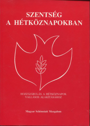 Szentsg a htkznapokban