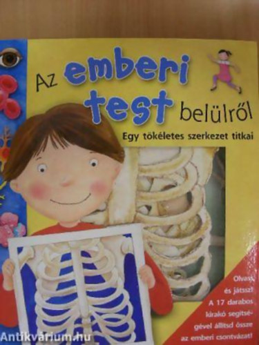 Polgr Anita - Dibs Gabriella - Az emberi test bellrl EGY TKLETES SZERKEZET TITKAI -  17 darabos kirak mellklettel.