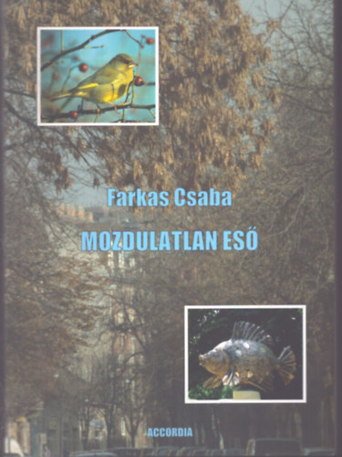 Farkas Csaba - Mozdulatlan es�