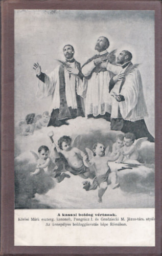 Lányi Ede S.J. - A kassai boldog vértanúk