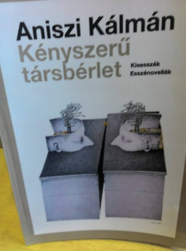 Aniszi K�lm�n - K�nyszer� t�rsb�rlet
