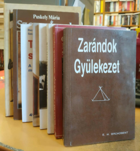 George Zarnecki, Edmund Hamer Broadbent, Vany Lszl, Johanna Lanczkowski, Benk Antal S. J., Szentmrtoni Mihly S. J., Puskely Mria, Gmbs Tams - 8 db keresztnysg: Kolostorok, szerzetesek, bartok; Zarndok, gylekezet; "Legyetek tkletesek..."; Ahol a csend magasztal; Szerzetessg kislexikona; Testvreink szolglatban; Szerzetesek; A szerzetes s lovagrend cmerei s viselet