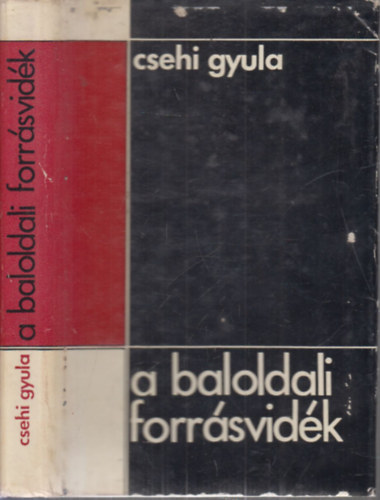 Csehi Gyula - A baloldali forrsvidk (dediklt)