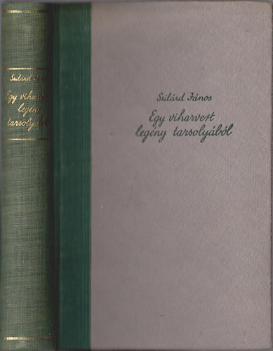 Szil�rd Istv�n - Egy viharvert leg�ny tarsoly�b�l