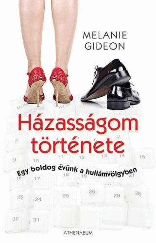 Melanie Gideon - Házasságom története - Egy boldog évünk a hullámvölgyben