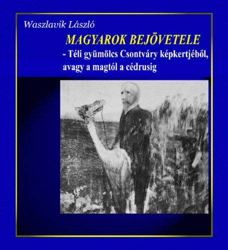 Waszlavik László - Magyarok bejövetele