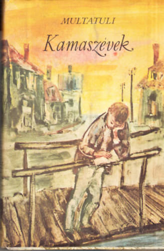 Multatuli - Kamaszvek