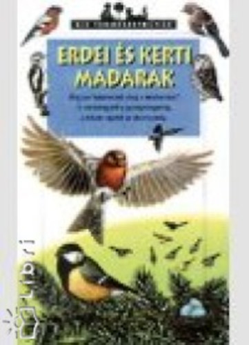 Valrie Tracqui - Erdei s kerti madarak