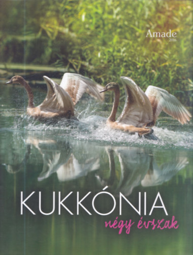 L. Horv�th Katalin - Kukk�nia 2. - N�gy �vszak