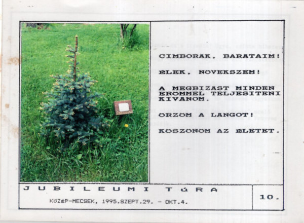 Jubileumi túra 10. - Közép - Mecsek, 1995. szept. 29- okt. 4.