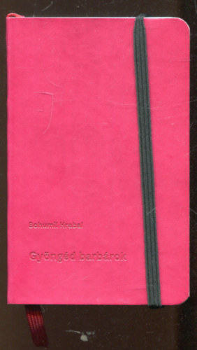 Bohumil Hrabal - Gyngd barbrok