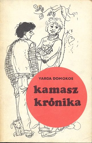 Varga Domokos - Kamasz kr�nika