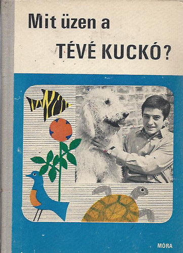 Blazsek-B�lint-Bogsch-Kr�lik - Mit �zen a T�V� KUCK�?