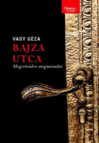 Vasy Géza - Bajza utca