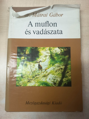 Dr. Mátrai Gábor - A muflon és vadászata