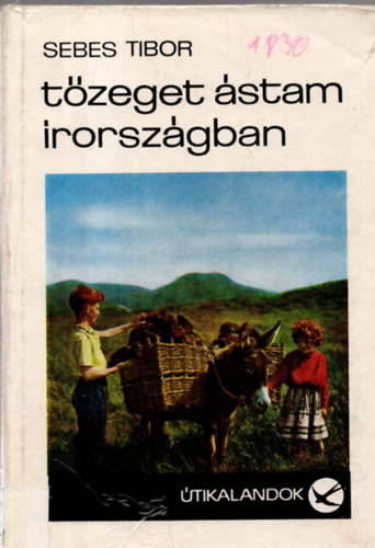 Sebes Tibor - T�zeget �stam �rorsz�gban