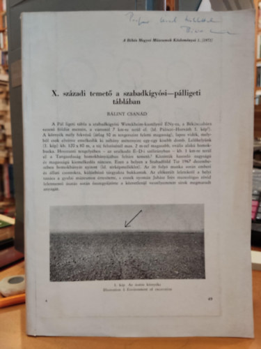 Bálint Csanád - X. századi temető a szabadkígyósi-pálligeti táblában