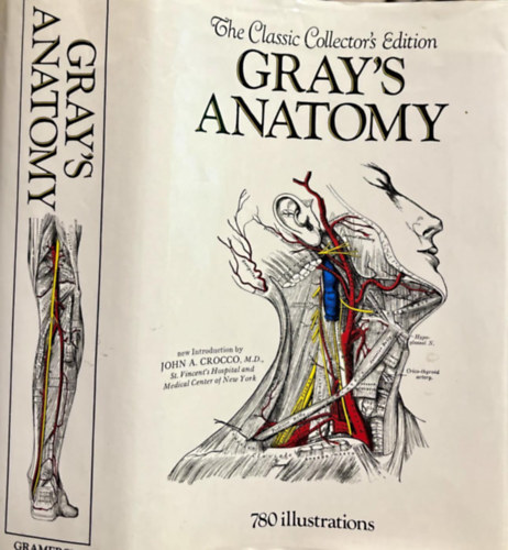 Henry Gray F.R.S. - Gray's Anatomy - Discriptive and Surgical