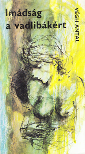 Végh Antal - Imádság a vadlibákért + Színvallatás ( 2 db Végh Antal könyv )